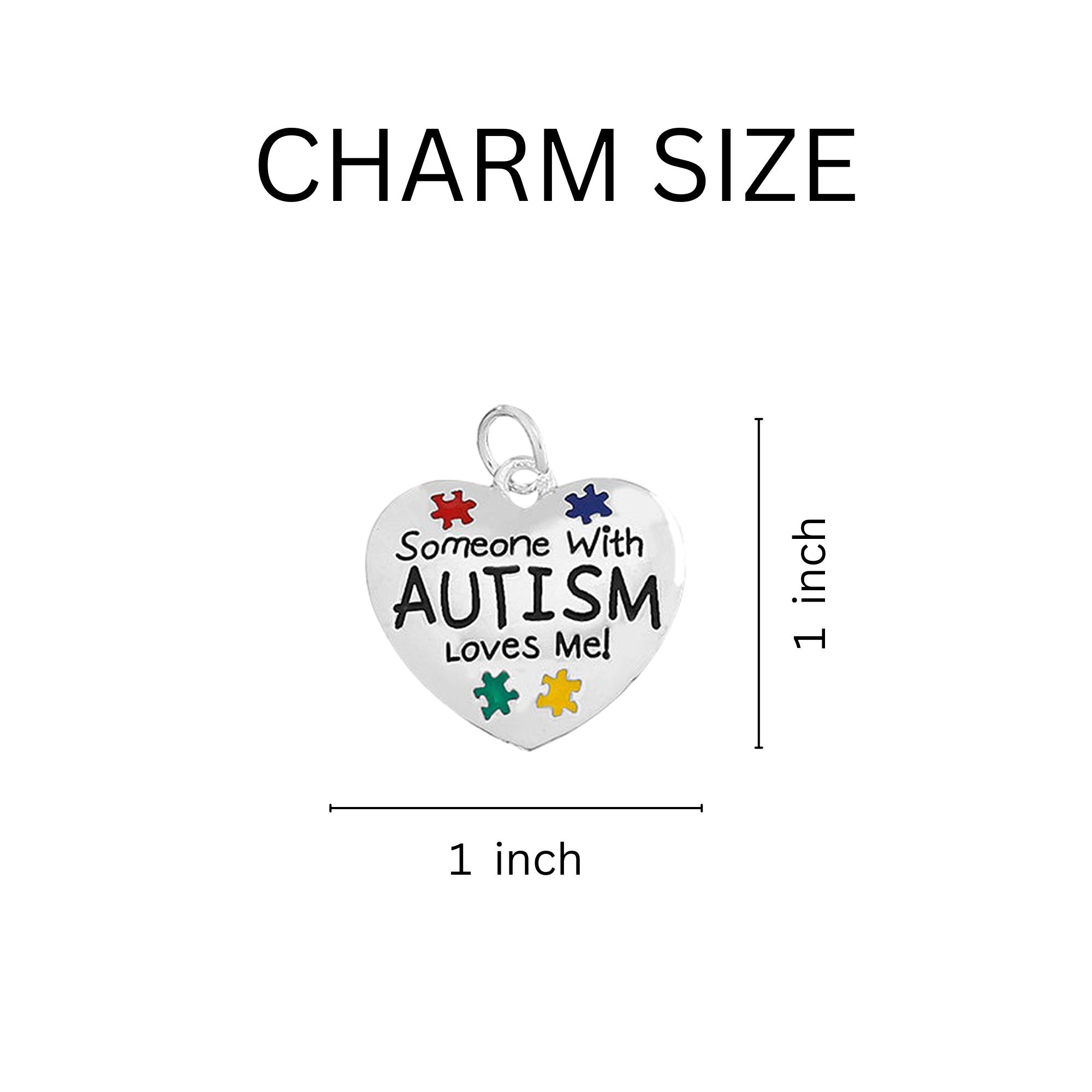 Someone Loves Me Autism Awareness Horseshoe Key Chains